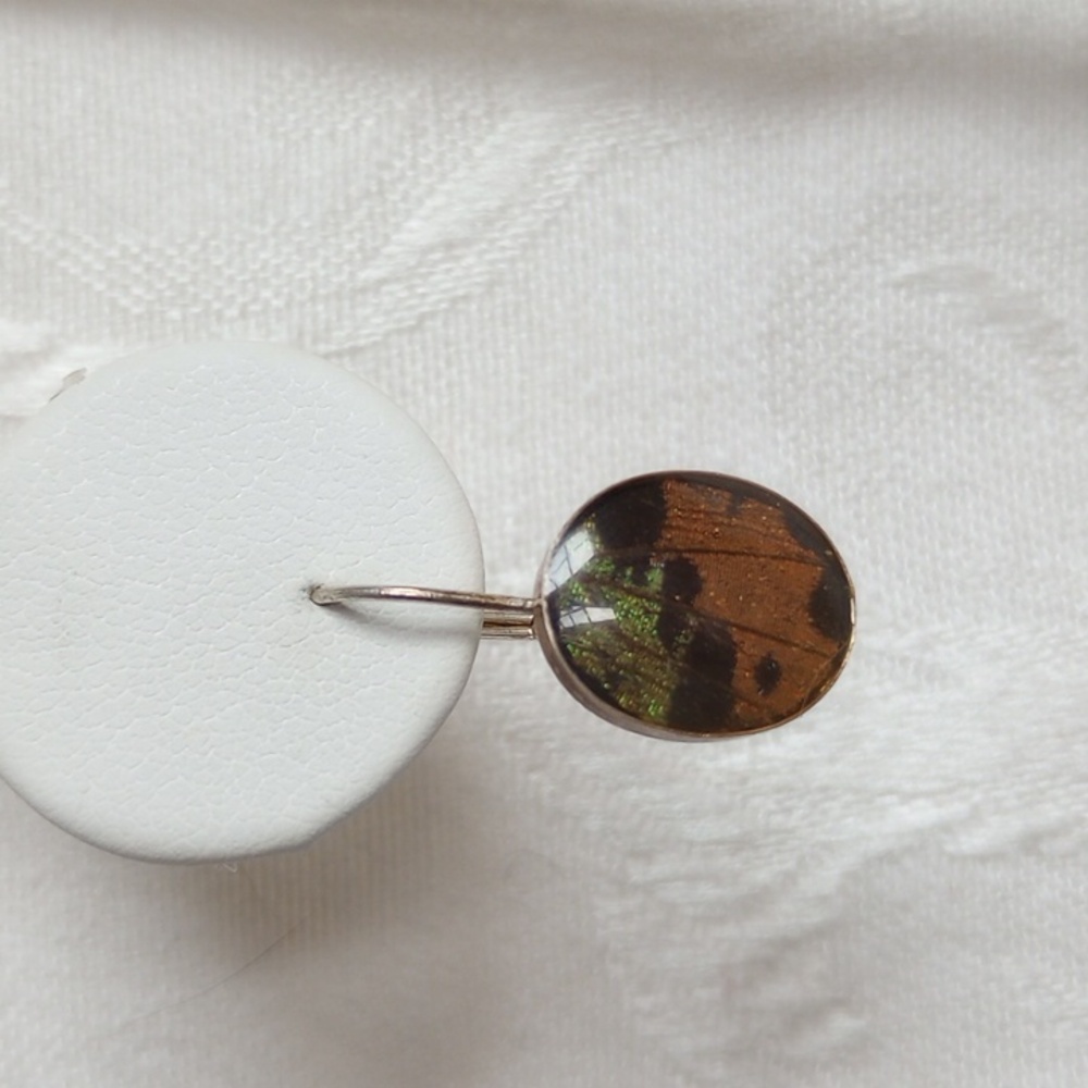 .925 sterling silver real butterfly wing earrings